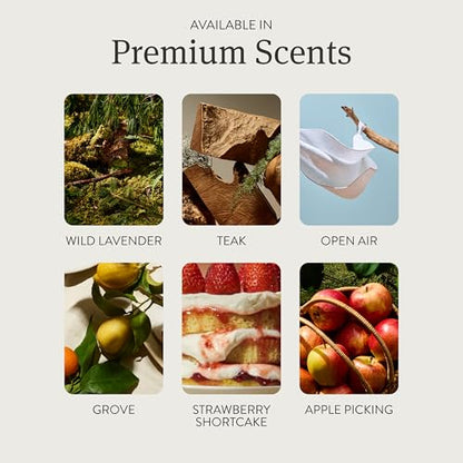 Drift Home Scent Diffuser Refills in Grove (2 Refills) - Adjustable and Long Lasting Diffuser Aroma - Clean Ingredients, Pet Safe - size: Refills