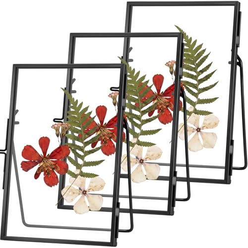 3 Pack Pressed Flower Frame Handmade, 4 x 6 floating Picture Frames for Pressed Flowers, Brass Double Glass for Tabletop Display, Home Office Plant Specimen, Photos(Black) - color: Black, size: 4 x 6 Inches