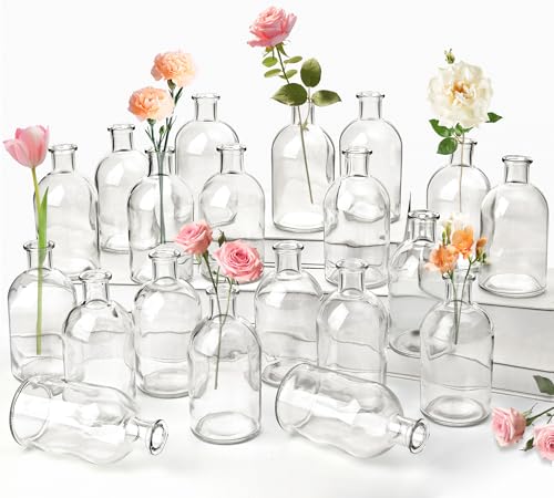 20 Pack Clear Glass Bud Vases for Centerpieces Small Mini Flower Vases | Bulk Vintage Decorative Bottle Vases for Table Decor, Home Accents, Wedding Reception, Party & Office Arrangements - color: Clear
