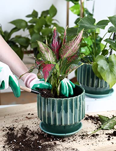Plant Pots 6 inch Ceramic Pots for Indoor Plants Set of 2 Flower Pots Unique Crackle Glaze Design Plant Pots with Drainage Hole and Saucer Come with Drainage Nets (Aqua Green) - color: Aqua Green