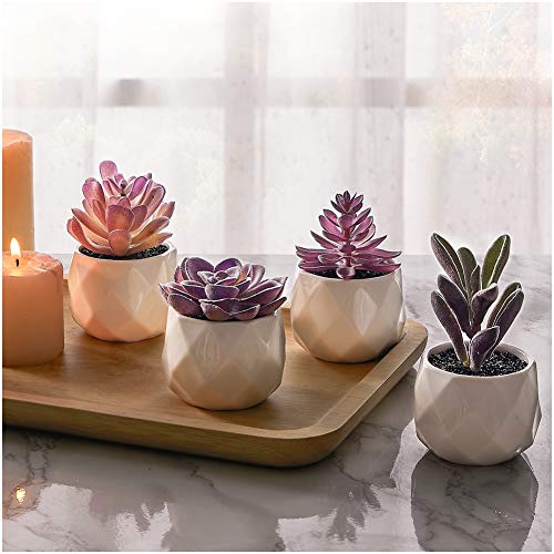 CADNLY Fake Succulent Plant Set Desk Plants Faux Succulents Pots Mini Purple Decor