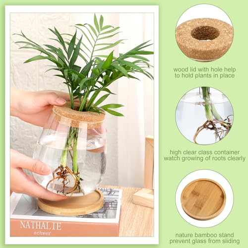 Layhit 4 Pcs Plants Propagation Stations vases Glass Planters with Wooden Lid and Bamboo Stand for Hydroponic Plants Gardening Gifts for Women Mom Home Office Tabletop Decoration(Cute Style) - style: Cute Style