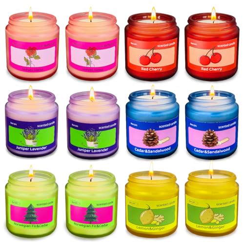 12 Pack Candles for Home Scented, Colored Frosted Jar Aromatherapy Candle Gifts for Women, Natural Soy Wax Candle Set, Scented Candles Set for Birthday Valentine Mother's Christmas Day Present