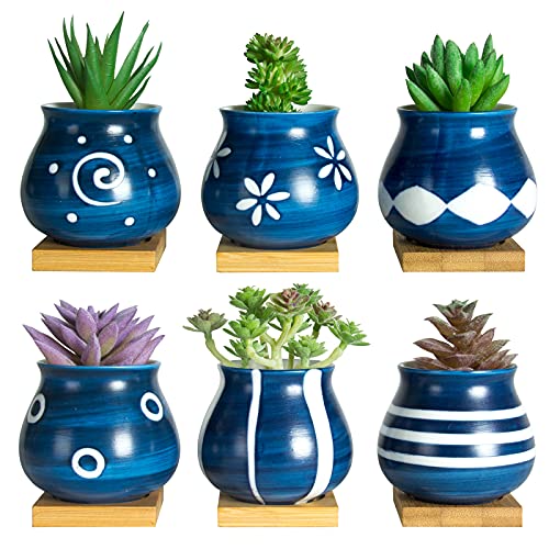 Cute Succulent Pots with Drainage Bamboo Tray - 3" Succulent Planters with Drainage Hole Ceramic Planter Tiny Pots for Indoor Small Plants, Small pots for Succulents Cactus Container Set of 6 - color: Blue-6pcs
