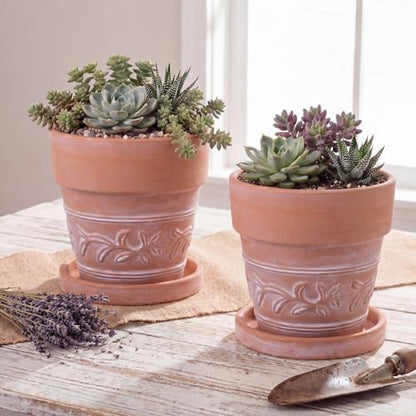 Set of 6 Embossed Succulent Pots 4" Small Terracotta Pots with Drainage Hole and Saucer Rustic Clay Succulent Planter Pot Decorative Ceramic Cactu Flower Pot for Indoor Outdoor(Leaf Style) - size: 4 Inch, style: Leaf Style
