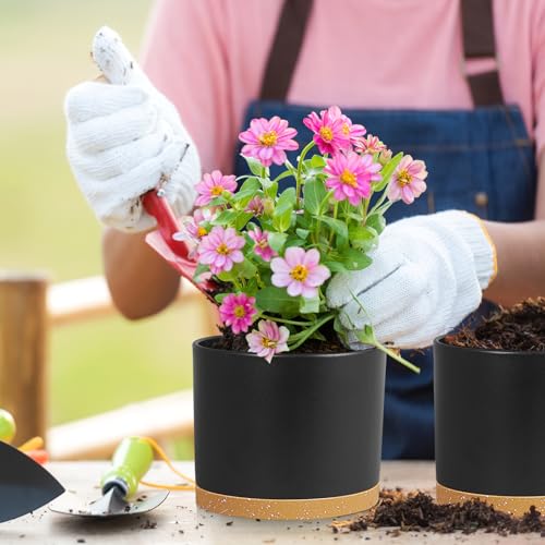 Large Plant Pots Set of 3 – 8", 9", 10" Indoor Flower Pots with Drainage Holes and Saucers, Big Planters for Monstera, Fiddle Leaf Fig, Snake Plant – 5 Colors - color: Black With Brown Base