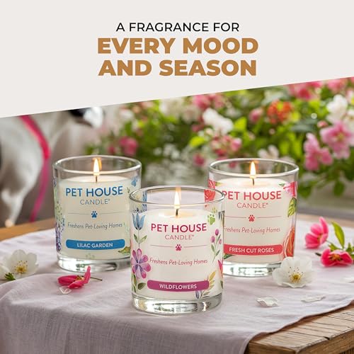 Pet House Candles, Clean Long-Burning, Scented Pet Friendly Candles, Plant-Based, 60 Hour Burn Time - Ocean Driftwood, 9 oz, 2 Pack - color: Ocean Driftwood, size: Pack of 2