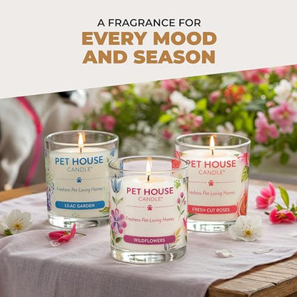 Pet House Candles, Clean Long-Burning, Scented Pet Friendly Candles, Plant-Based, 60 Hour Burn Time - Ocean Driftwood, 9 oz, 2 Pack - color: Ocean Driftwood, size: Pack of 2