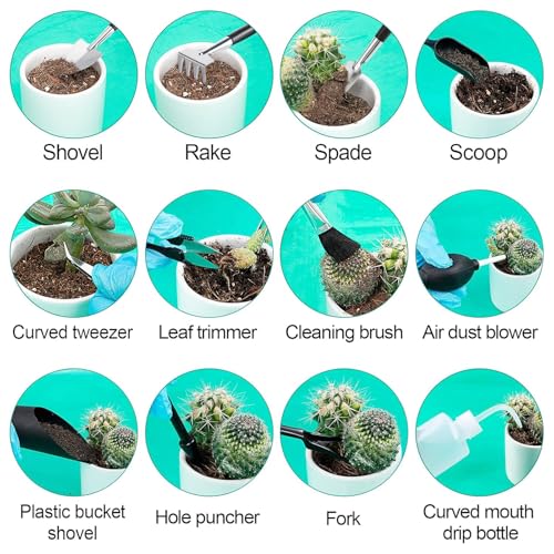 ANPHSIN 44pcs Small Gardening Tools Gifts for Women Beginners, Green | Garden Hand Tools Set for Indoor Succulent, Bonsai, Plants Transplanting, Included Bag/Repotting Mat/Shovel/Labels - color: Green