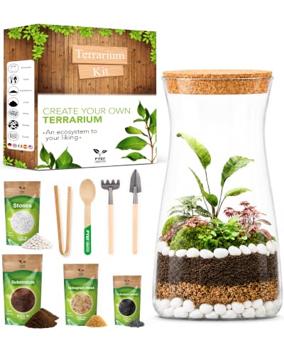 Terrarium Kit for Plants DIY | Starter Pack – Closed Ecosystem – 34 fl oz Glass – Succulents, Air Plants, Bonsai, Indoor Plants – (Plants Not Included) - size: 34 fl oz