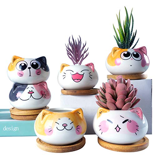 3.6Inch Cat Pot for Plant, Cat Planter Succulent Pot with Drainage Set of 6 | Tiny Animal Planter, Small Ceramic Air Plant Cat Flower Pots, Cactus Planters Containers with Bamboo Tray - color: Sitting Cats 6pcs