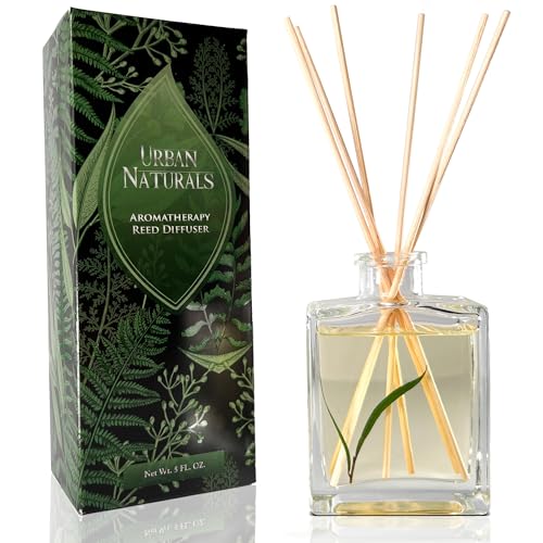 Reed Diffuser Set, Eucalyptus Sage - Bathroom Shelf Décor | Mint, Lime & Cedarwood Essential Oils, Relaxing scent, Sleek Rectangular Refillable Glass Bottle - color: Eucalyptus Sage