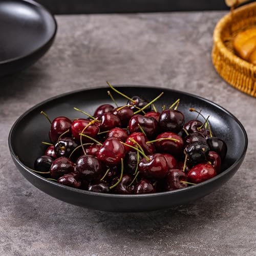 Ceramic Serving Bowls with Wooden Spoons Set of 2, Large Serving Bowl for Dinner Salad Soup Pasta Dessert Fish Fruit Chicken Bread, Oven Dishwasher Safe, 50oz Bowl for Entertaining, 9.75" Pure Black - color: Black