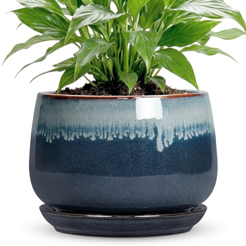 7 Inch Plant Pot Indoor, Ceramic Plant Pots, Retro Blue | Round Ceramic Planter with Drainage and Saucer, Decorative Flower Pots for Indoor Plants, Home Decor, Gifts for Plant Lovers - size: 7 Inch, style: Retro