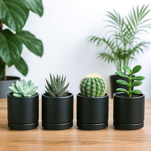 D'vine Dev 4-Pack Ceramic Pots with Saucers, Black, 3.5 in, 94-X-A-2 | Glazed Ceramic, Drainage Hole and Saucer, Sleek Cylinder Shape, High Temperature Fired, Ideal for Small Houseplants - color: Black, size: 3.5 Inch
