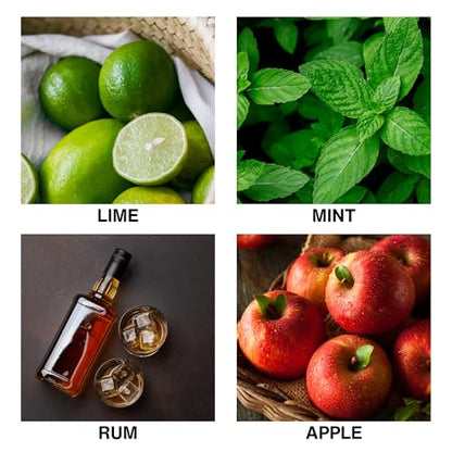 Mojito Scent Reed Diffuser Oil – Long Lasting Diffusers for Home with Mint, Lime, Rum & Apple – Premium Home Fragrance Crafted by Expert Perfumers – 150ml - size: 150ml / 5.07 fl.oz