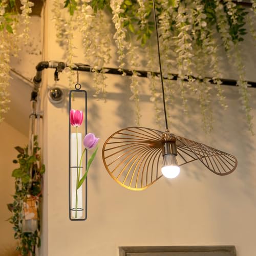 PATIKIL Plant Propagation Wall Hanging Terrarium with Metal Holder, 1 Sets Medium Glass Planter Tube Vase for Hydroponic Flower Office Bathroom Bedroom Decor, Black