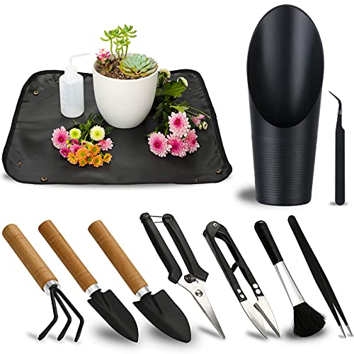 11Pcs Succulent Tools, Mini Garden Tools, Plant Repotting Set(No Flowerpot) | Succulent Watering Tool as Plant Accessories,Small Gardening Hand Tools Kit for Indoor Seedling Soil,Caring Houseplant - style: Abundant Garden Tools