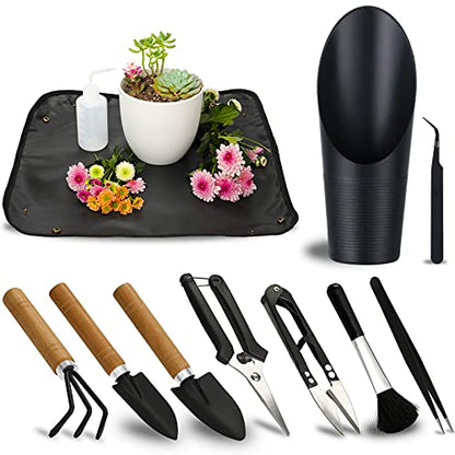 11Pcs Succulent Tools, Mini Garden Tools, Plant Repotting Set(No Flowerpot) | Succulent Watering Tool as Plant Accessories,Small Gardening Hand Tools Kit for Indoor Seedling Soil,Caring Houseplant - style: Abundant Garden Tools