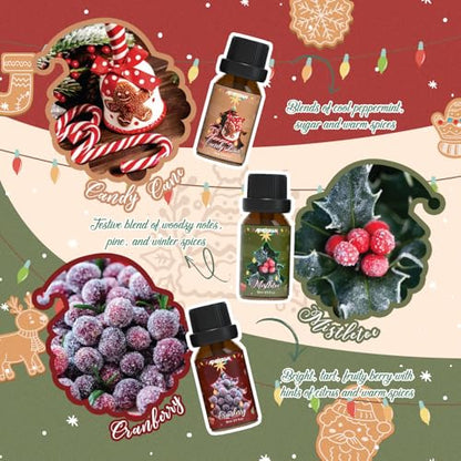 ARVIDSSON Christmas Fragrance Oil Set, Winter Essential Oils for Diffuser, Candle Making - Christmas Spirit, Gingerbread, Apple Cinnamon, Candy Cane, Mistletoe, Holiday Diffuser Oils Gift Set - color: Red