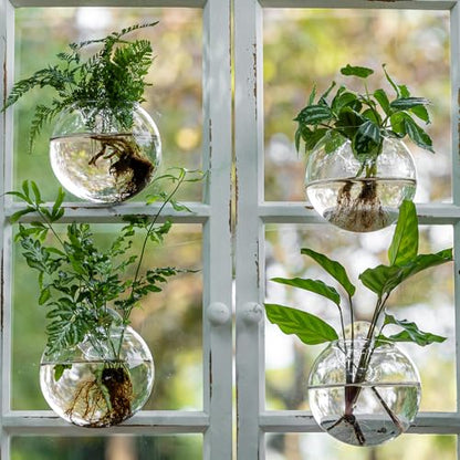 Window Propagation Stations, Oblate Glass Terrariums Planter with Suction Cup Hook, Wall Hanging Planters for Hydroponics Plants, Home, Office, Bathroom, Living Room Decor, Gift for Plant Lovers (2)