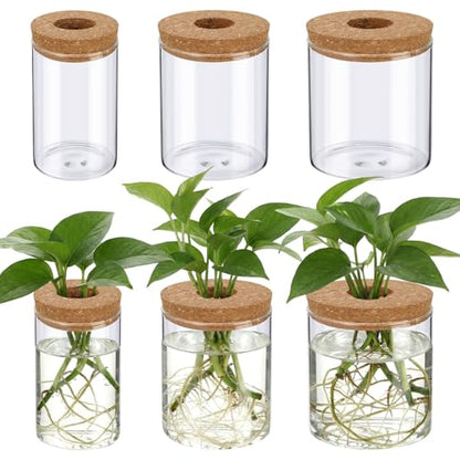 6 Pcs Glass Plant Propagation Stations (2 Large + 2 Medium + 2 Small) Hydroponic Flower Vases Desktop Plant Terrarium Jar for Cuttings, for Living Room, Bedroom, Home Decoration