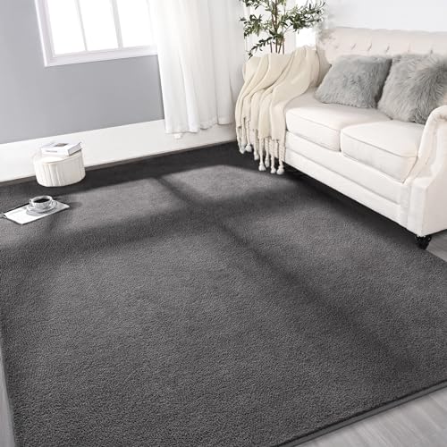 Gifeas Large Modern Area Rugs for Living Room Bedroom, 4x6 Feet Dark Grey | Thickened Memory Foam Indoor Solid Minimalist Carpet, Non-Slip Furry Comfy Rug for Kid Boy Girl Nursery Dorm Room Home Decor - color: Dark Grey, size: 4' X 6' (Rectangular)