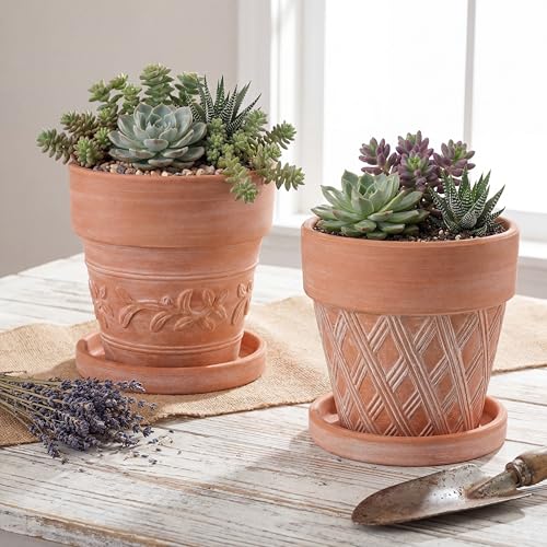 Set of 6 Embossed Succulent Pots 4" Small Terracotta Pots with Drainage Hole Saucer Mini Rustic Clay Succulent Planter Pot Decorative Ceramic Cactu Flower Pot for Indoor Outdoor(Lattice Leaf) - size: 4 Inch, style: Lattice and Leaf