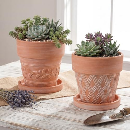 Set of 6 Embossed Succulent Pots 4" Small Terracotta Pots with Drainage Hole Saucer Mini Rustic Clay Succulent Planter Pot Decorative Ceramic Cactu Flower Pot for Indoor Outdoor(Lattice Leaf) - size: 4 Inch, style: Lattice and Leaf
