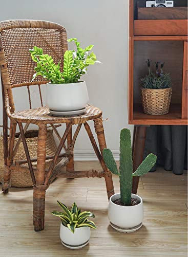 LE TAUCI Ceramic Plant Pots, 4.1+5.1+6.5 inch, Set of 3, Planters with Drainage Hole and Saucer, Indoor Flower Pot with Hole Mesh Pad, Gifts for Mom, White - color: White