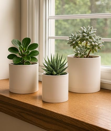 D'vine Dev 3-Pack Plastic Pots & Saucers, 4/5/6 in, Oatmeal, 74-V-H-1 | Multi-Size Options, Lightweight Durable, Matte Finish, Cylinder Shape, Drainage Holes, Sleek Design, Detachable Saucer - color: Oatmeal, size: Small