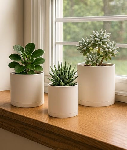 D'vine Dev 3-Pack Plastic Pots & Saucers, 4/5/6 in, Oatmeal, 74-V-H-1 | Multi-Size Options, Lightweight Durable, Matte Finish, Cylinder Shape, Drainage Holes, Sleek Design, Detachable Saucer - color: Oatmeal, size: Small