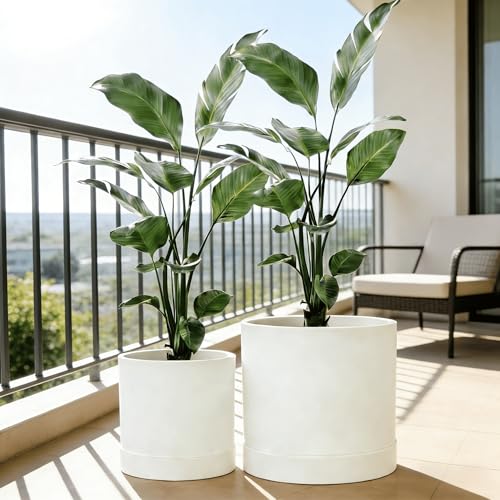 GreenShip Planter Set of 2 (15.7" &13.7") – Cylinder Planters with Drainage Hole and Planter Saucer, Jun Porcelain Clay & Recycled Resin, Decorate Home,Office & Outdoor,White pots - color: White, size: 15.7in+13.7in