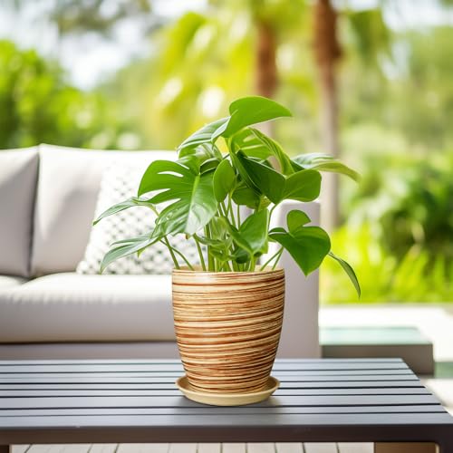 8 Inch Plant Pot, Ceramic Planter with Drainage Hole and Saucer Large Flower Pot for Home Patio Garden Office, Yellow - color: Glossy Yellow-coil, size: 8 Inch