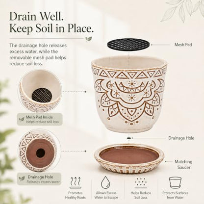 Gepege Ceramic Succulent Pots, 4 Inch Small Plant Pots with Drainage | Ceramic succulent pots with drainage holes, ceramic saucers and mesh pads, set of 4, ideal for cactus and succulents - color: Cream White, size: 4 Inch - Set of 4
