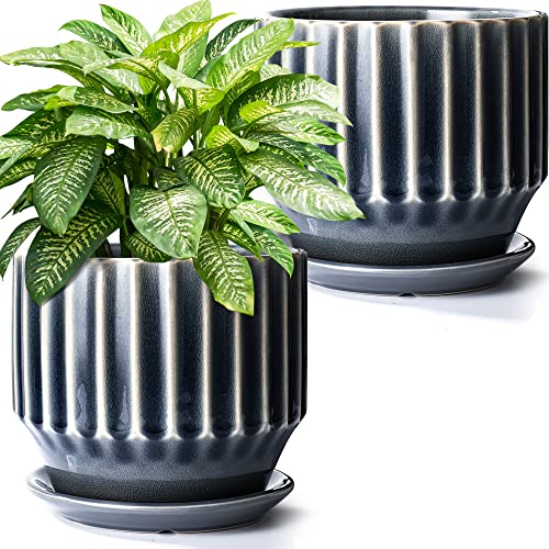 Plant Pots 6 inch Ceramic Pots for Indoor Plants Set of 2 Flower Pots Unique Crackle Glaze Design Plant Pots with Drainage Hole and Saucer Come with Drainage Nets (Grey) - color: Gray