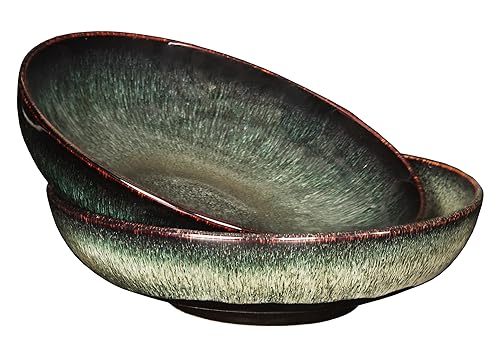 Soup bowl Soup plate Large Pasta Bowls 56 ounce, Set of 2, Serving,Salad,Dinner,deep Plate/Wide Bowl,Microwave, Oven, Dishwasher Safe Kitchen Dinnerware,Modern Porcelain Dishes 10 inch - color: Black Reactive Color, size: 10 Inch without embossed lion hea
