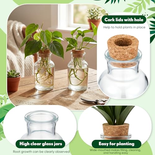 12 Pack Glass Plant Propagation Stations, Hydroponic Vases Tabletop Plant Terrarium Jar for Indoor Flower Arrangements Glass Planter Kitchen Office Decoration Gifts(Cylindrical)