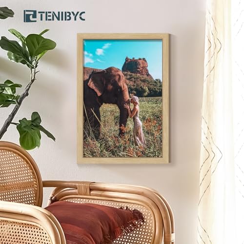 13x19 Picture Frame 3 Pack, Natural Oak Wood Grain & HD Tempered Glass, Gallery Poster Frame - Wall Hanging - color: Oak, size: 13 X 19, style: 3 Pack