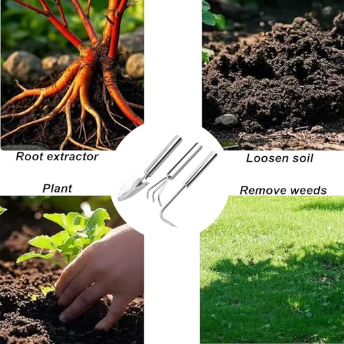 3 Pcs Stainless Steel Mini Garden Tools Set Small Tiny Shovel Trowel Root Extractor Hand Rake Indoor Outdoor Gardening Tools for Pot Plants Succulent Bonsai - style: 3PCS Stainless Steel Silver