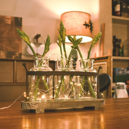 Propagation Stations with Rustic Wood Metal Stand, Glass Vase Set with Wicker Basket Holder, 3 Bottles, Rustic Farmhouse Decor, Home and Office Table Decor (Set of 3 Bottles)