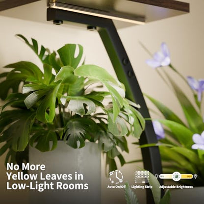 CODACE Plant Stand with Grow Lights - 50" Indoor Plant Shelf | 6 Tiered Plant Shelf Indoor, Lighted Tree-Shaped Plant Holder, Tall Flower Display Rack for Living Room, Patio(Black) - color: Black