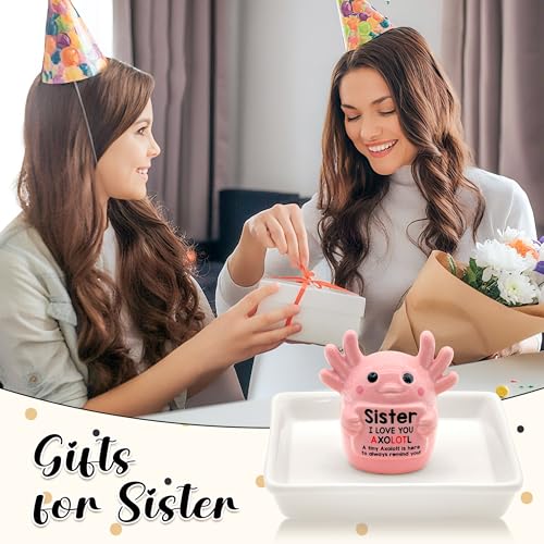 Sister Birthday Gifts for Sister, Pink Ceramic Axolotl Ring Holder Dish | Cute Pink Axolotl Jewlery Tray with 'I love you axolotl' Birthday Christmas Gift for Sister from Brother - style: Axolotl Sister