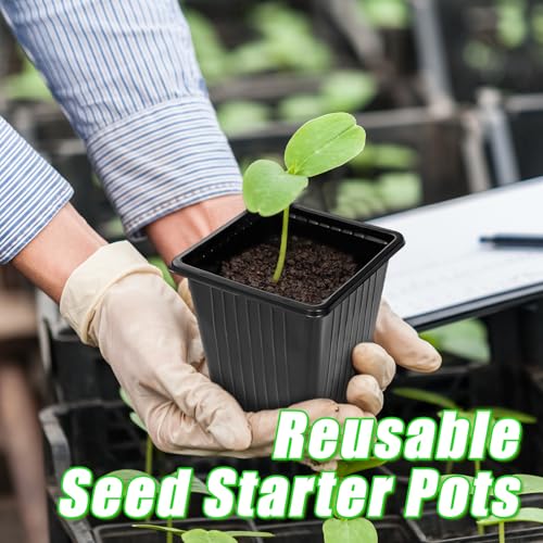 Anyumocz 100Pcs Square Plant Nursery Pots,3.5 Inch Plastic Pots with Drainage Holes,Reusable Seed Starter Pots for Flowers,Vegetables,Garden Planting,Transplanting,Succulents,Cuttings(Black) - color: 100pcs Black