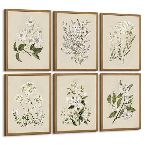 Baccone Vintage Botanical Wall Art Set of 6 Neutral Floral Canvas Wall Decor Wildflower Wall Art Watercolor Flower Prints Botanical Poster Minimalist Plant Pictures for Bedroom Room 8x10 Inch Framed - color: Neutral Floral Prints, size: 8x10 Inch Framed
