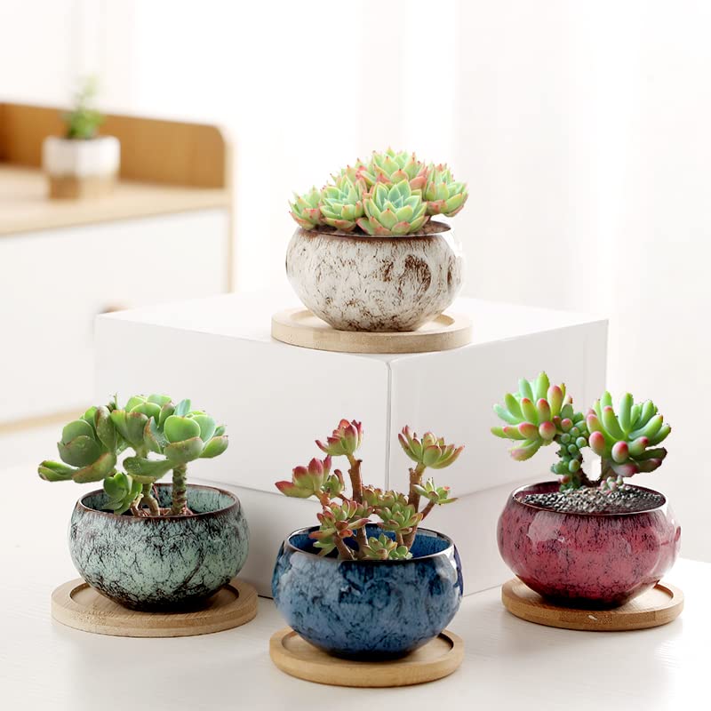 Ceramic Plants Pots 3 Inch Set of 4 Flower Pots with Drainage and Bamboo Tray for Indoor/Outdoor Small House Plants,Foliage Plant - style: Set 1
