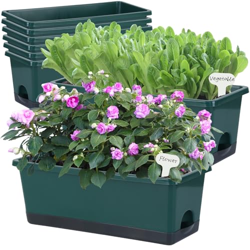Window Box Planter 8 Pcs, 17 Inches Rectangle Flower Pots with Drainage Holes & Trays, Vegetable Planters for Windowsill Patio Garden Balcony Home Indoor Outdoor (Dark Green, 16 * 7 * 6 inch) - color: Dark Green