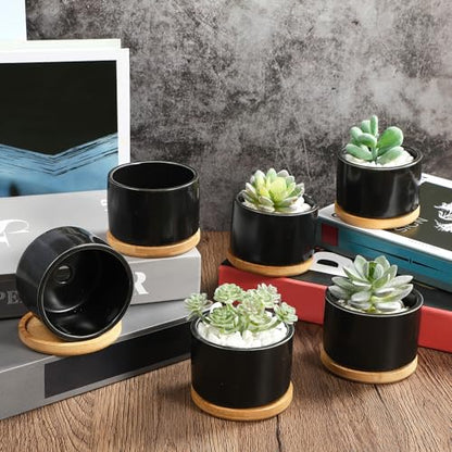 Cindeer 12 Sets Succulent Plant Pot Ceramic Succulent Pots Container Cactus Pots with Bamboo Tray Small Cylinder Flower Plant Pot with Bamboo Saucers for Plants Indoor Outdoor (Black,3 x 2.17 Inch) - color: Black