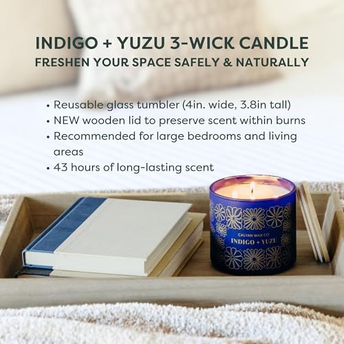 Indigo & Yuzu 3 Wick Scented Candle - 43 Hour Burn | Made in the USA Luxury Clean Soy Wax Candles - Long Lasting Large Glass Jar Candle for Home - 3 Wicks - 14.9oz - color: Indigo + Yuzu