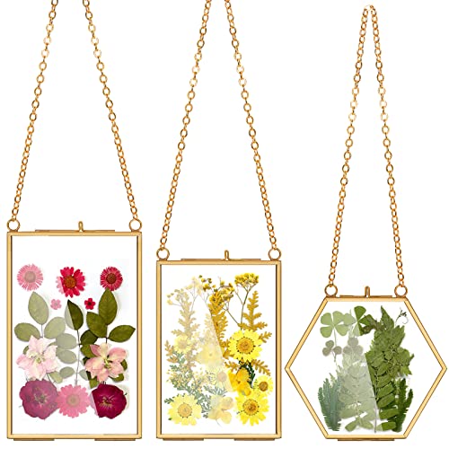 AVLA 3 Pack Pressed Flowers Glass Frames, Brass Hanging Picture Frames with Chain, Small Golden Floating Photo Frame, Clear DIY Artwork Display Frame for Wall Decor, Dried Plant Specimen - color: Gold-Small-3pcs